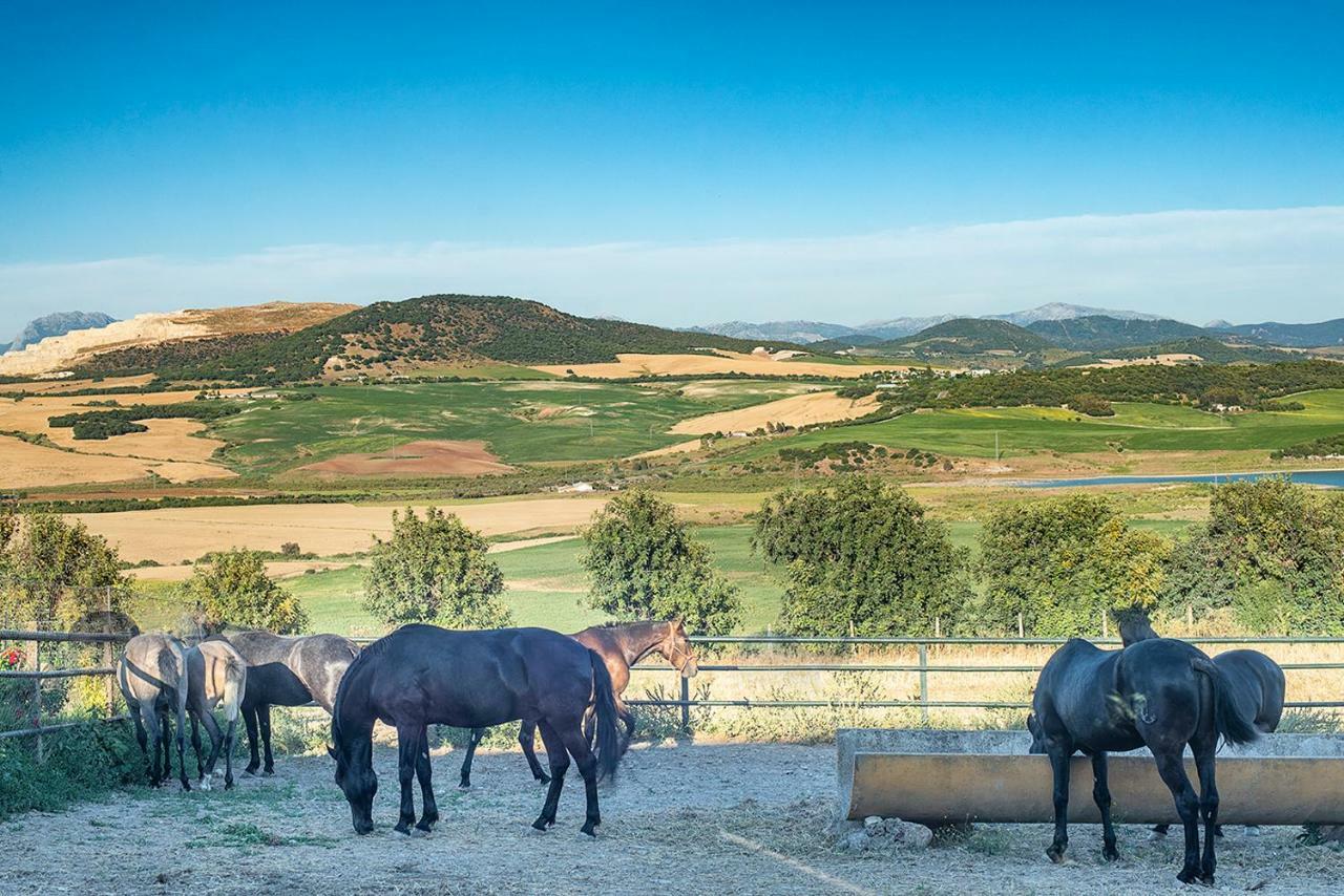 Alterhome Private Villa Cortijo Sierra Y Lago 阿尔科斯-德拉弗龙特拉 外观 照片
