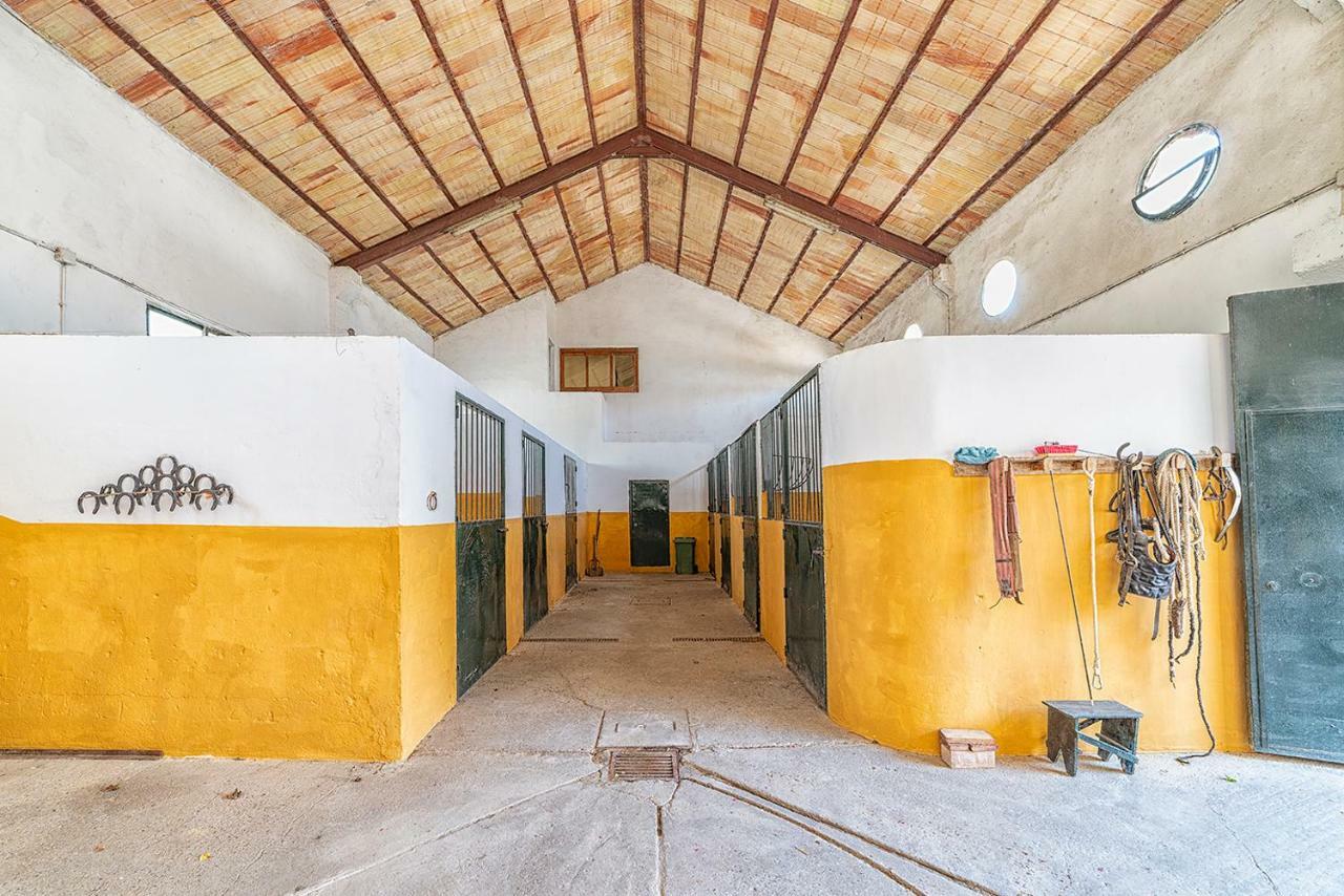 Alterhome Private Villa Cortijo Sierra Y Lago 阿尔科斯-德拉弗龙特拉 外观 照片