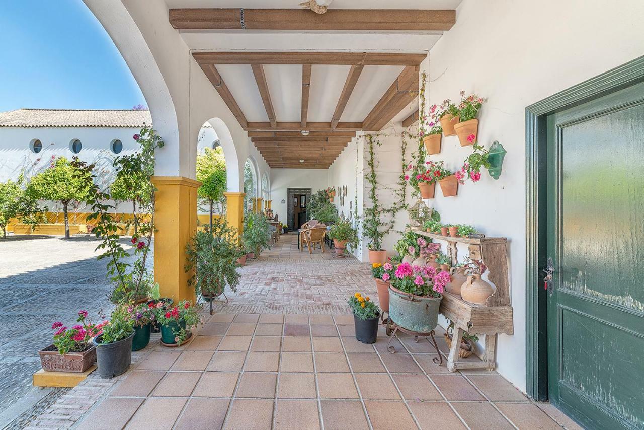 Alterhome Private Villa Cortijo Sierra Y Lago 阿尔科斯-德拉弗龙特拉 外观 照片