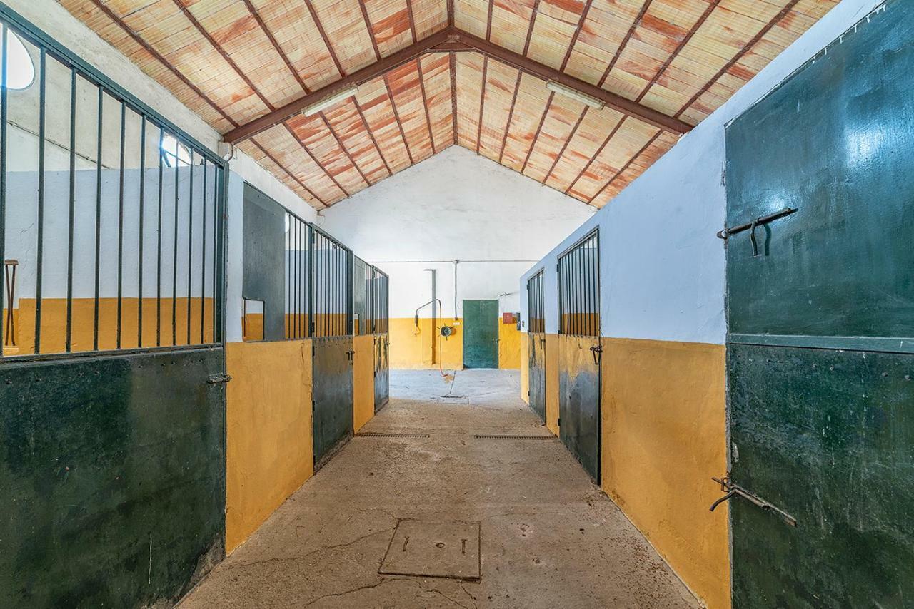 Alterhome Private Villa Cortijo Sierra Y Lago 阿尔科斯-德拉弗龙特拉 外观 照片